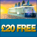 Bingo Liner - Awesome Bingo Games and Chat